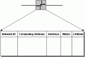 Figure 5: Routing table structure