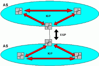 Figure 9: Autonomous systems, interior gateway protocols, and exterior gateway protocols .