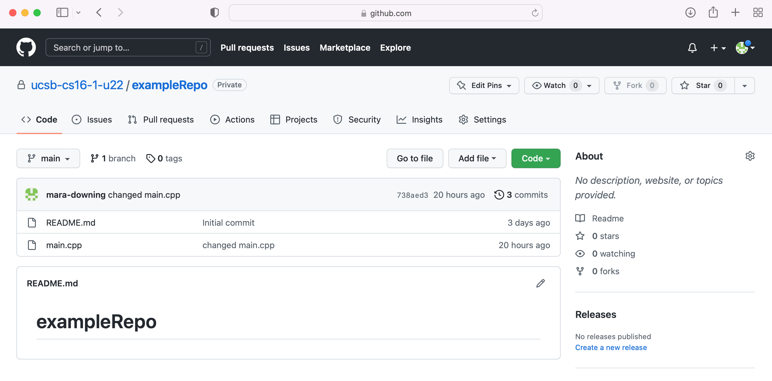 Screenshot of exampleRepo in my web browser