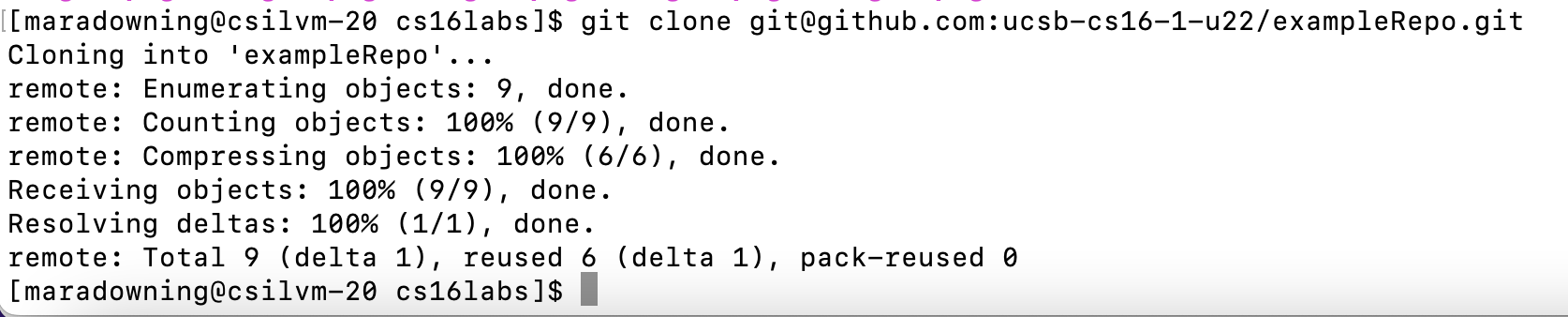 Clone command output