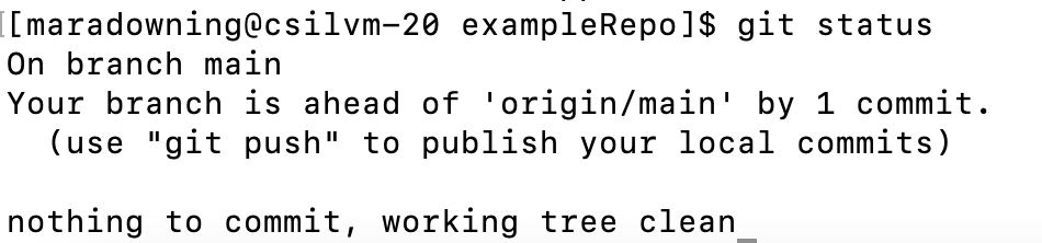 Output of git status after commit