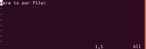 Screenshot of open VIM