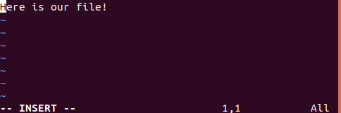 Screenshot of VIM in insert mode