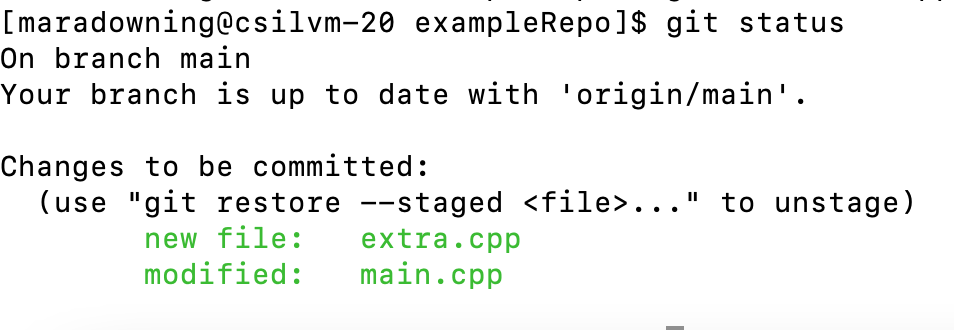 Output of git status after adding changed files