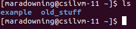 Screenshot of running ls on CSIL